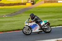 brands-hatch-photographs;brands-no-limits-trackday;cadwell-trackday-photographs;enduro-digital-images;event-digital-images;eventdigitalimages;no-limits-trackdays;peter-wileman-photography;racing-digital-images;trackday-digital-images;trackday-photos